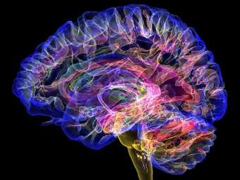 肉洞导航大脑植入物有助于严重头部损伤恢复